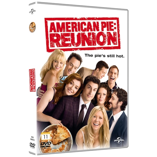 American Pie The Reunion (DVD)