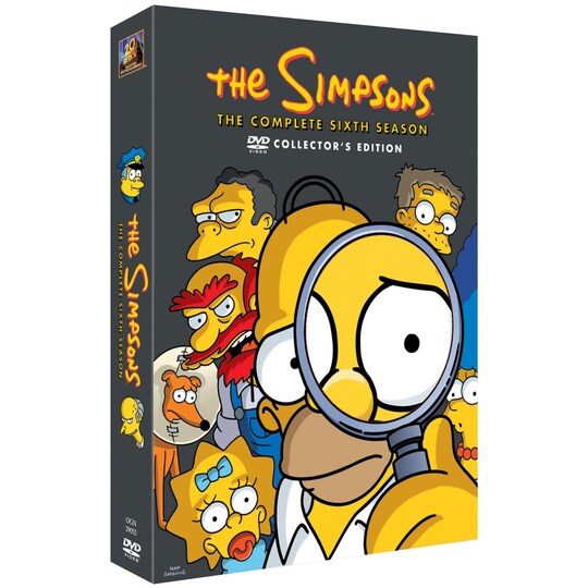 DVD - The Simpsons sæson 6