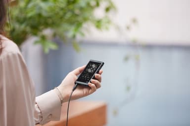 Sony Walkman 16 GB NW-A55 digital musikafspiller (sort)