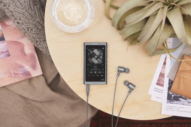 Sony Walkman 16 GB NW-A55 digital musikafspiller (sort)