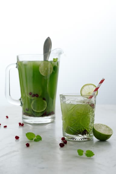 Wilfa Raw Fuel blender PB 1200-S