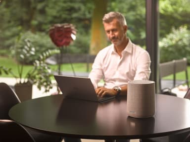 Harman Kardon Citation ONE højttaler - 2-pak (grå)