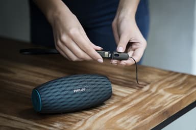 Philips portable trådløs højtaler BT6900A/00 - blue