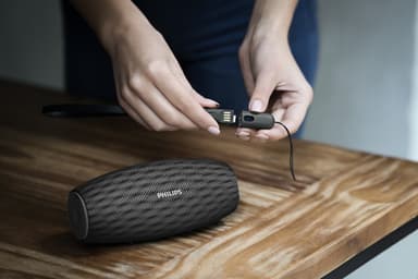 Philips portable trådløs højtaler BT6900B/00 - sort