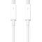 Apple Thunderbolt 3 USB-C kabel (0,8 m)