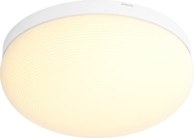 Philips Hue Flourish loftslys 4090531P9