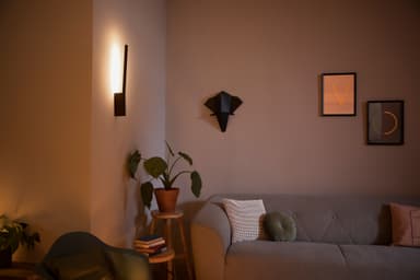 Philips Hue Liane ambient LED-pære 4090230P9