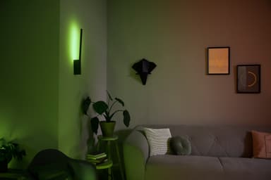 Philips Hue Liane ambient LED-pære 4090230P9