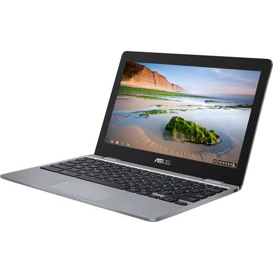 Asus Chromebook C423, 14" fHD bærbar computer (sølv/sort)