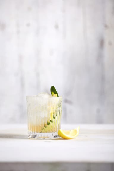 SodaStream Soda Press økologisk sirup (Classics Indian tonic) SDP500IT