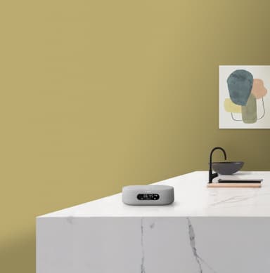 Harman Kardon Citation Oasis smart DAB+ vækkeur (grå)