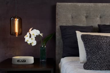 Harman Kardon Citation Oasis smart DAB+ vækkeur (grå)
