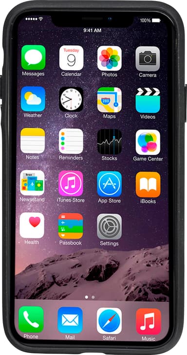 Dbramante1928 Herning Apple iPhone 11 cover (sort)