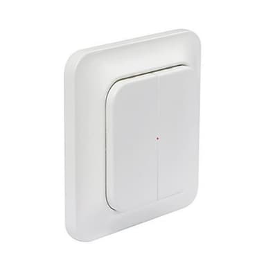 WT-2 Wall transmitter 2-kanals Trend