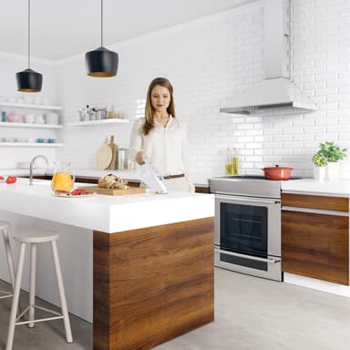 Electrolux Rapido håndholdt støvsuger ZB5003W