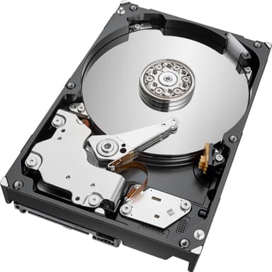 Seagate IronWolf Pro 3,5" intern HDD til NAS (4 TB)