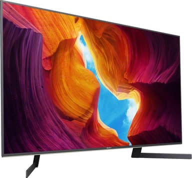 Sony 49" XH95 4K UHD LED Smart TV KD49XH9505