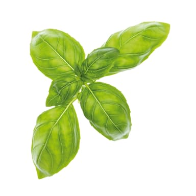TREGREN Frøkapsler Aroma Mix