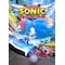Team Sonic Racing - PC Windows