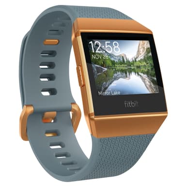 Fitbit Ionic smartwatch (slate blue/burnt orange)