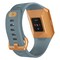 Fitbit Ionic smartwatch (slate blue/burnt orange)