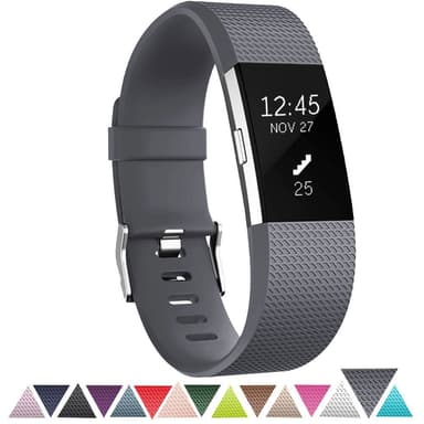 fitbit charge 2 l
