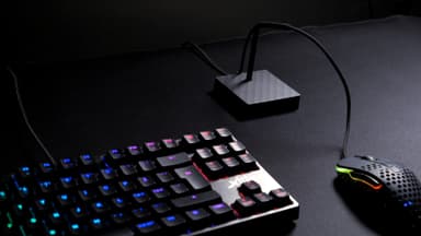 Xtrfy B4 bungee til mus (sort)