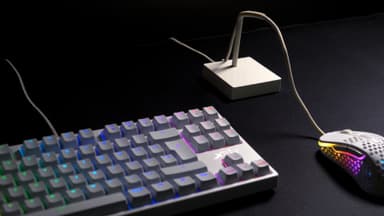 Xtrfy B4 bungee til mus (hvid)