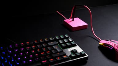 Xtrfy B4 bungee til mus (pink)