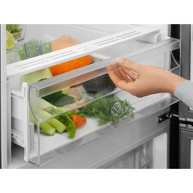 Electrolux Kølefryseskab LNT5ME36W0