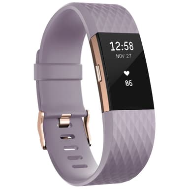 fitbit 407