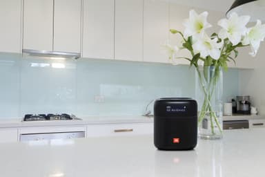 JBL Tuner XL bærbar FM/DAB radio (sort)