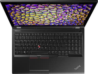 Lenovo ThinkPad P53 15,6" bærbar computer i9/32 GB (sort)