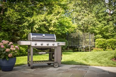 Weber Genesis II E410 gasgill 62010169