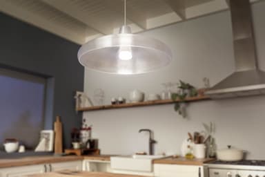 Philips Hue White LED elpære 100W E27