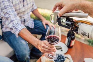 Coravin Model Six vinsystem 112214 (Silver)