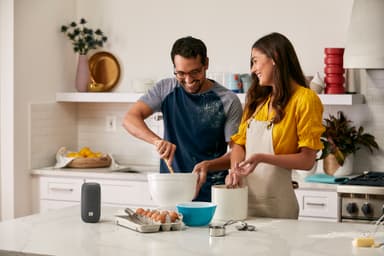 JBL Link Portable wi-fi højttaler med opladerstationen (grå)