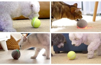 Wicked Ball - interaktivt legetøj til hund og kat - turkis