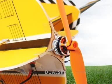 Dualsky O-ringe (20 stk)