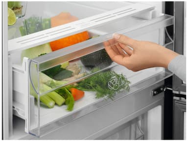 Electrolux Køl/frys kombination LNT5MF36W0