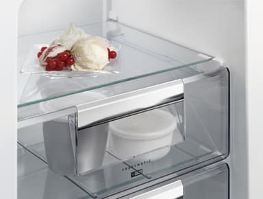 AEG kølefryseskab RCB633E6NX