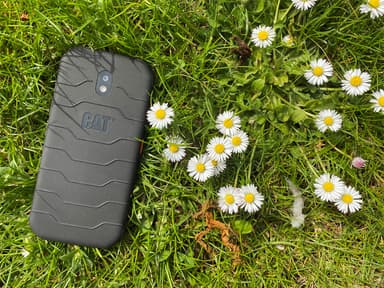 CAT S42 smartphone (sort)