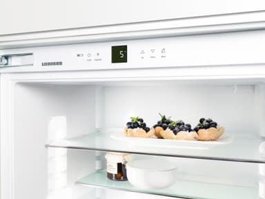 Liebherr Comfort BluPerformance fryser GNef 4335-21 001