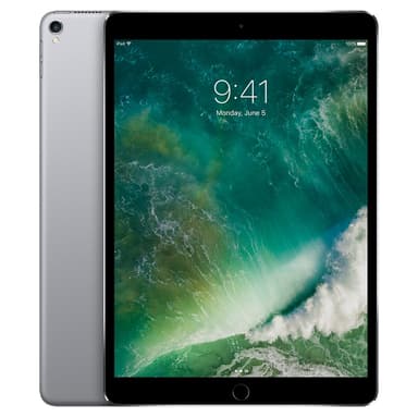 iPad Pro 10.5" 256 GB WiFi (space grey)