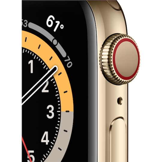 Apple Watch Series 6 40mm GPS+4G LTE (gold steel/gold Milanese loop)