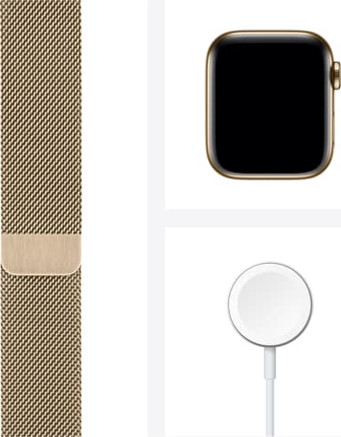 Apple Watch Series 6 40mm GPS+4G LTE (gold steel/gold Milanese loop)