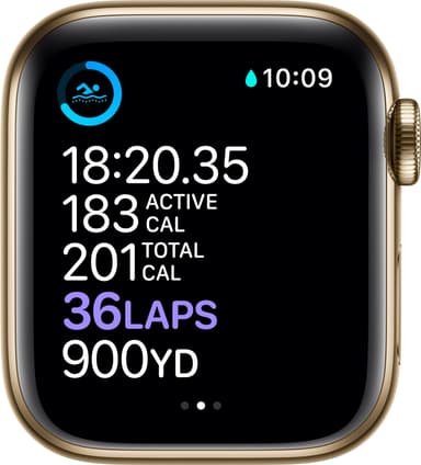 Apple Watch Series 6 40mm GPS+4G LTE (gold steel/gold Milanese loop)