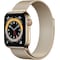 Apple Watch Series 6 40mm GPS+4G LTE (gold steel/gold Milanese loop)