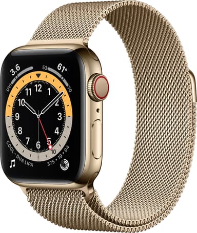 Apple Watch Series 6 40mm GPS+4G LTE (gold steel/gold Milanese loop)