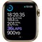 Apple Watch Series 6 44mm GPS+4G LTE (gold steel/guld Mil. loop)